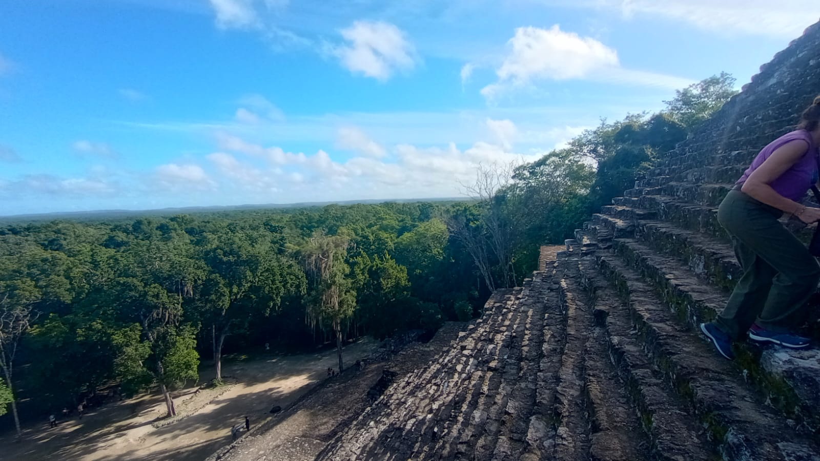 Vegetación de la Selva Maya