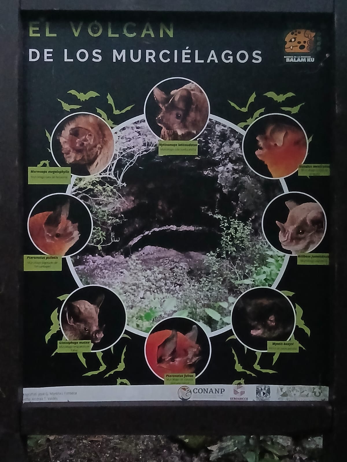 Cueva de los Murciélagos